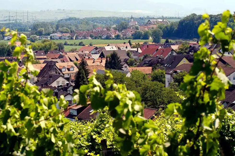 Ortsansicht Opfingen vom Weinberg